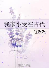 我家小受在古代(穿越 包子)上