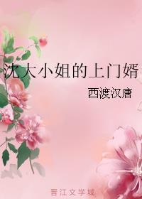 大小姐的上门女婿