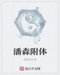 潘森副系点什么