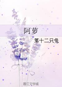 阿萝芬和楚甲一样吗