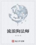 流浪法师厉害吗