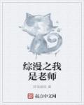 我是老师游戏