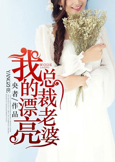 我的美女总裁老婆改编1-17