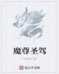 魔尊和圣后什么关系