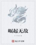 崛起无敌 月下吟风