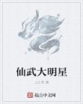 仙武大明星全本