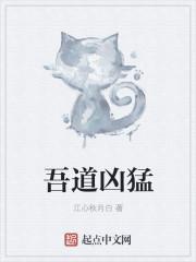 吾道穷是指什么