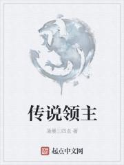 破晓传说光领主