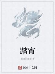 踏宵是什么意思