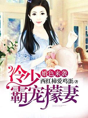 婚途陌路冷少