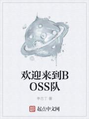 欢迎来到BOSS队 笔趣阁免费阅读