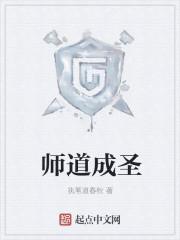 师道成圣百科