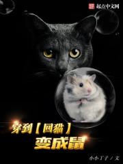 穿越变成猫的推荐