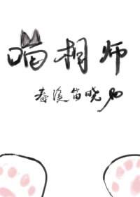 喵相师无防盗