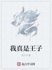 给我介绍王子