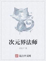 全职法师次元魔法