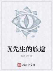 x先生游戏