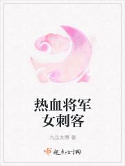 少将军遇上女刺客