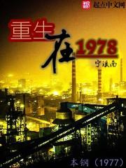 重生在70年代系统致富