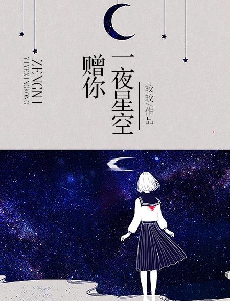 赠你一夜星空txt