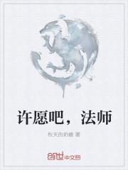 全职法师许愿设定