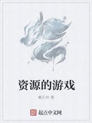 游戏资源文件是什么