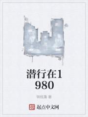 我在1980开网吧