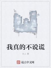 我真的不说谎原文叫什么名字