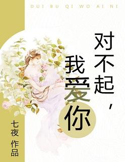 对不起我爱你江颜慕祁年