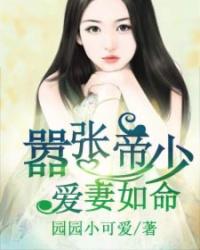 器张帝少爱妻如命全文免费