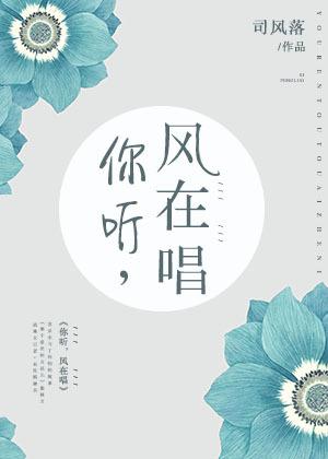 你听风在唱司风落