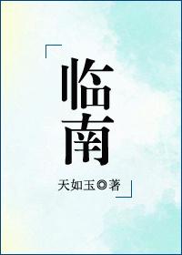 临南无防盗