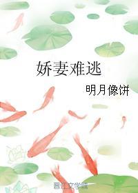 娇妻难逃by明月像饼