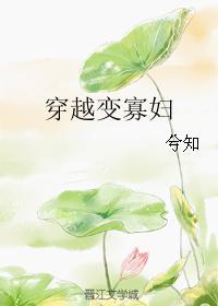 穿越变寡妇(兮知)