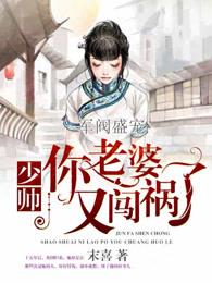 夫人又闯祸了 正版