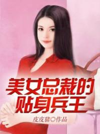 美女总裁的贴身兵王秦良沈若夕