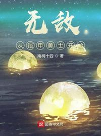 无敌从铠皇