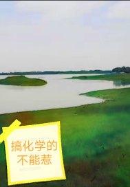 为什么不能惹化学老师