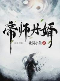 帝师仙婿