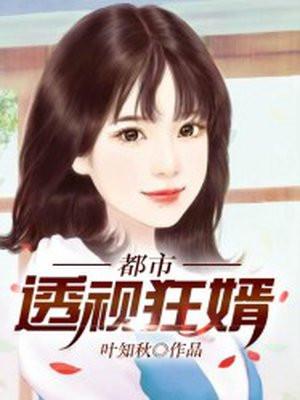 都市透视狂婿有几个女主