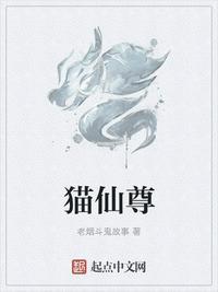 神猫伏魔讲的什么