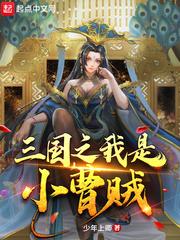 q将三国演义最新版