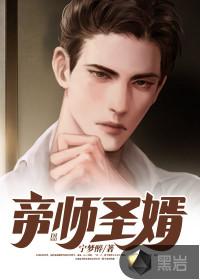 帝师王婿无弹窗