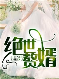 至尊神婿叶昊免费全文正版