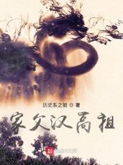 家父汉高祖无错字