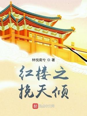 红楼之挽天倾 零点