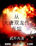 从大唐双龙传开始 武不凡