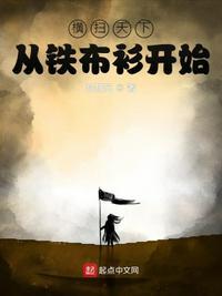 纵横天下从铁布衫开始无错