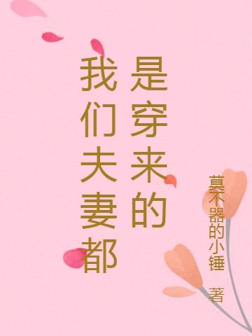 我们是夫妻什么意思