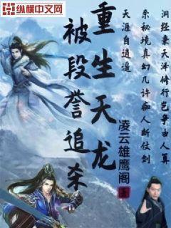 重生天龙段誉拜师无崖子